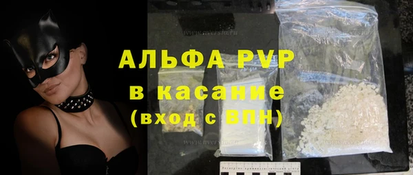 индика Осинники