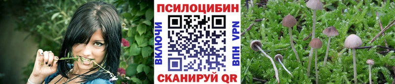 продажа наркотиков Лодейное Поле Псилоцибиновые грибы мухоморы