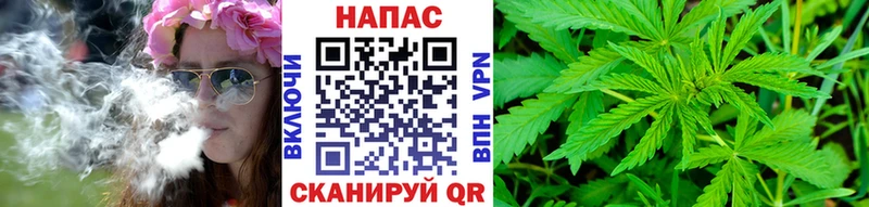 наркотики  Лодейное Поле  Бошки марихуана индика 
